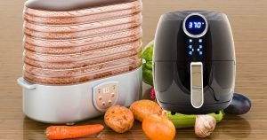 Air Fryer vs. Dehydrator