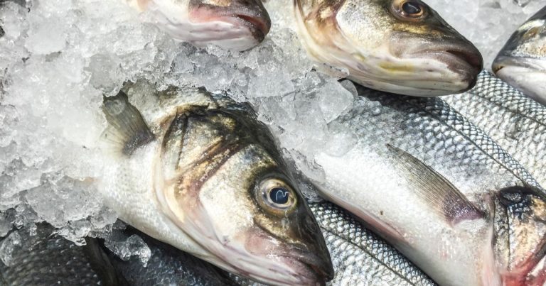 Can You Put Frozen Fish In An Air Fryer